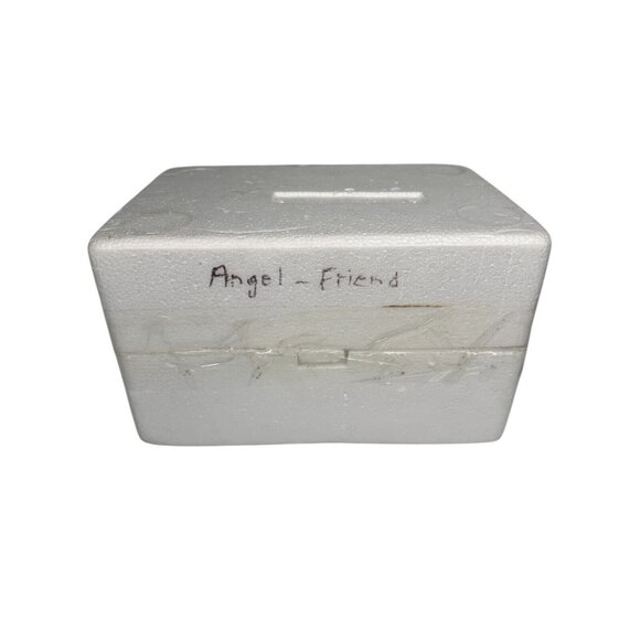 2005 THE BRADFORD EDITIONS Friends Are Like Angels 8" MUSICAL FIGURINE & Cert - Picture 9 of 9